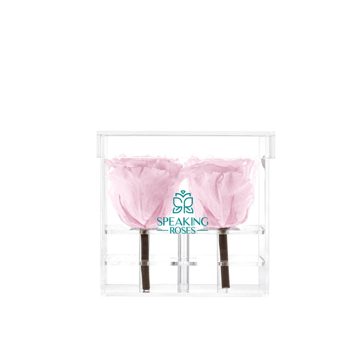 Preserved Roses (4 Stems)