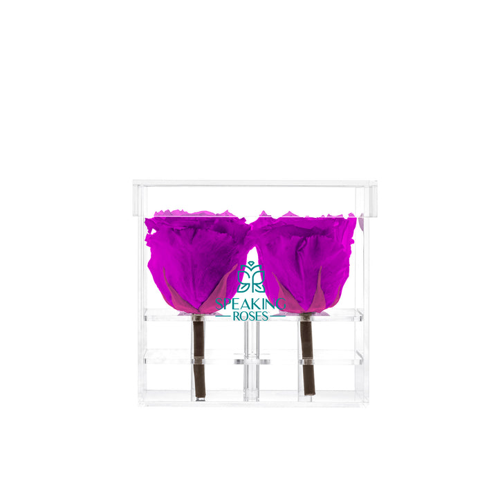 Preserved Roses (4 Stems)