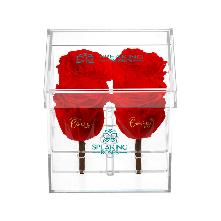 Preserved Roses (4 Stems)