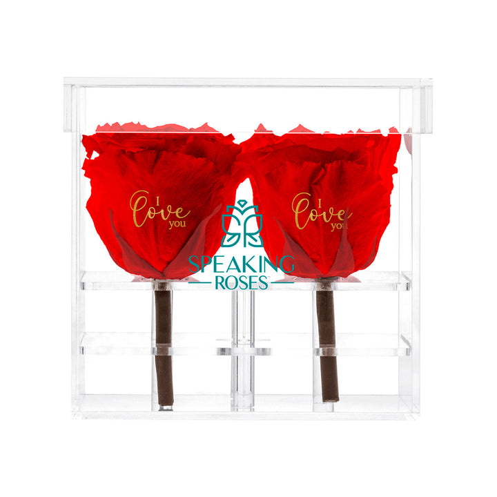 Preserved Roses (4 Stems)
