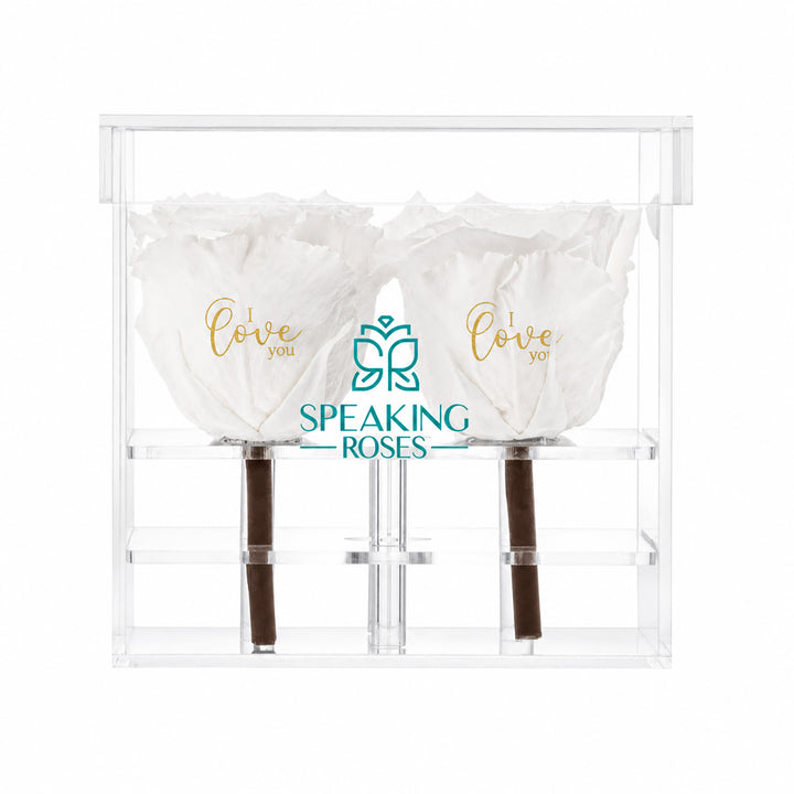 Preserved Roses (4 Stems)