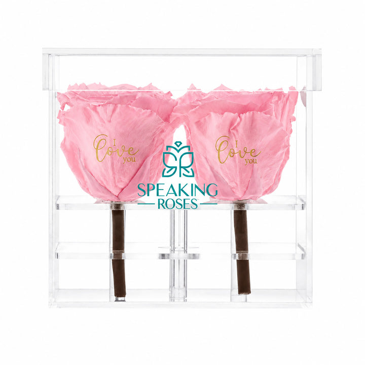 Preserved Roses (4 Stems)