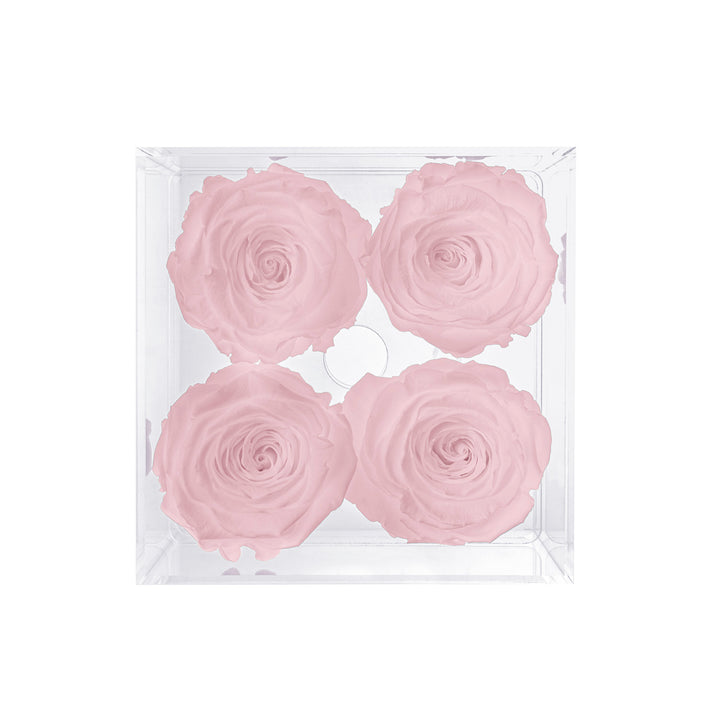 Preserved Roses (4 Stems)