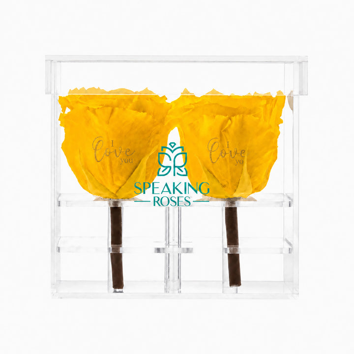 Preserved Roses (4 Stems)