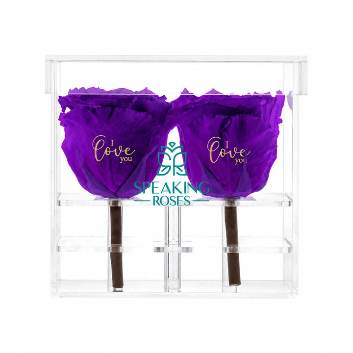 Preserved Roses (4 Stems)