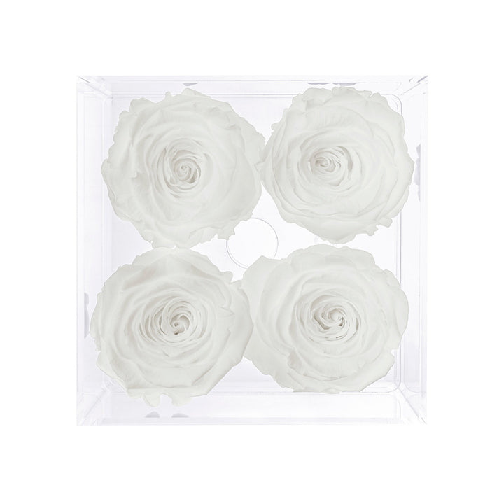 Preserved Roses (4 Stems)