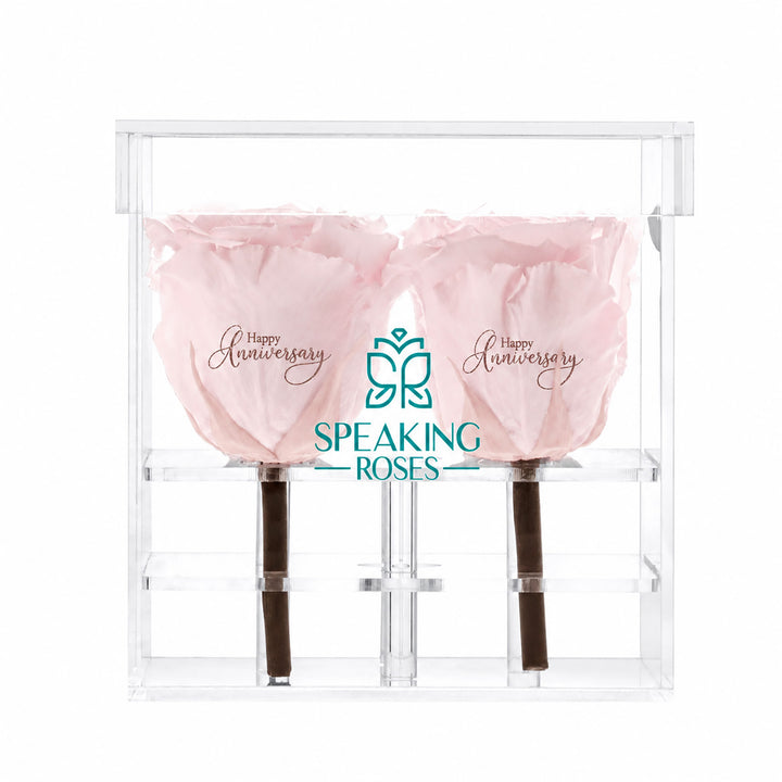 Preserved Roses (4 Stems)