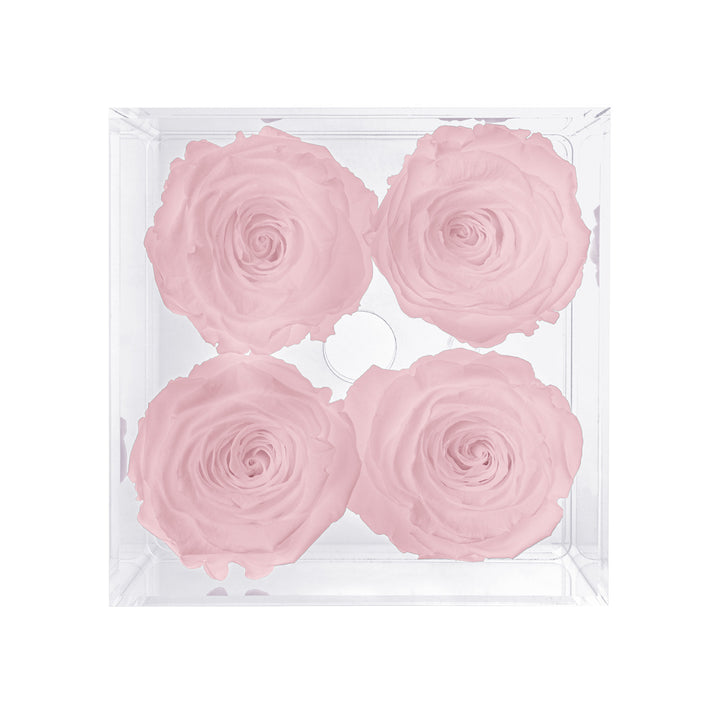 Preserved Roses (4 Stems)