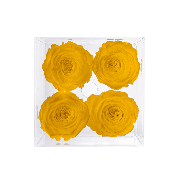 Preserved Roses (4 Stems)