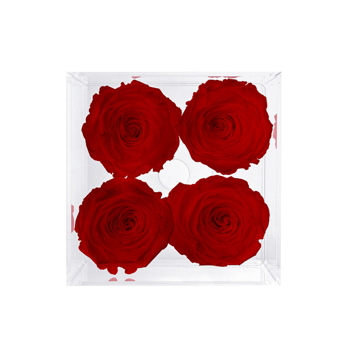 Preserved Roses (4 Stems)