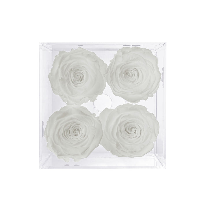 Preserved Roses (4 Stems)