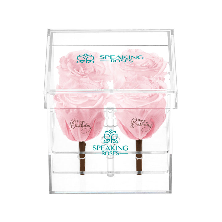 Preserved Roses (4 Stems)