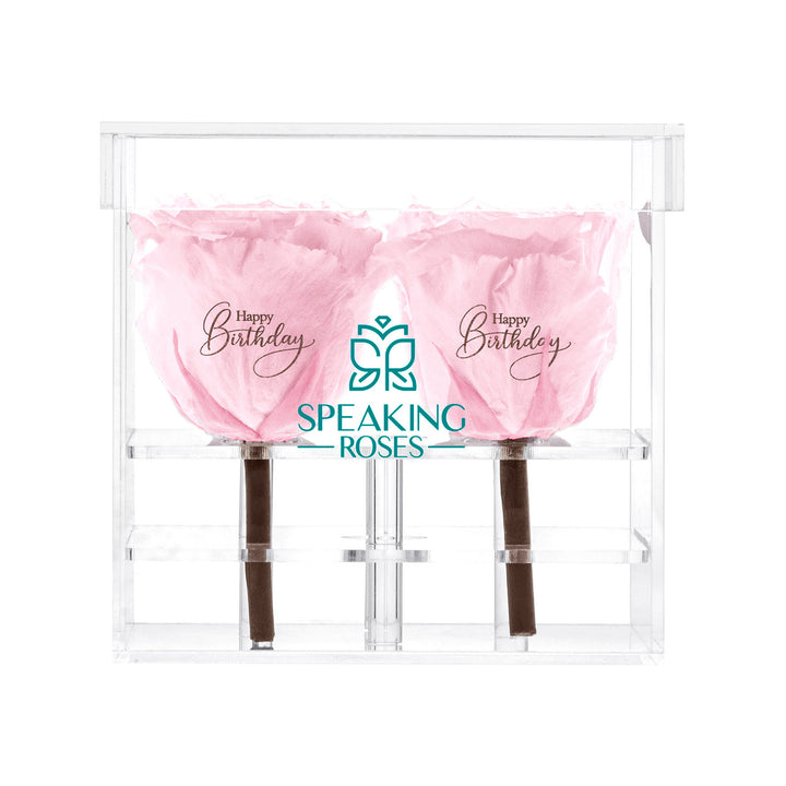 Preserved Roses (4 Stems)