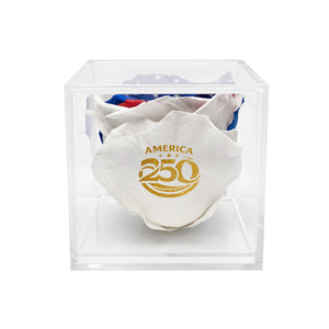 Stemless Patriotic Preserved Rose - primary product image