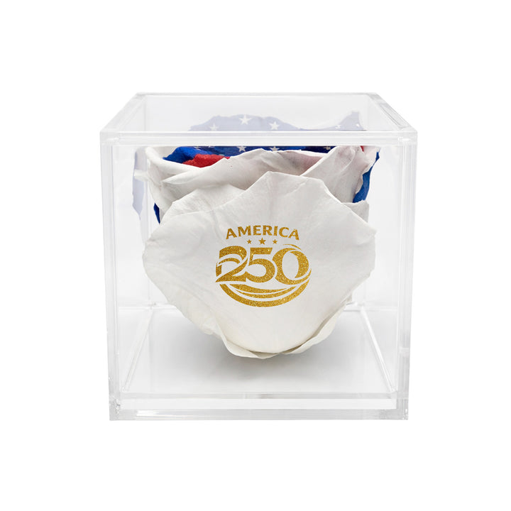 Stemless Patriotic Preserved Rose