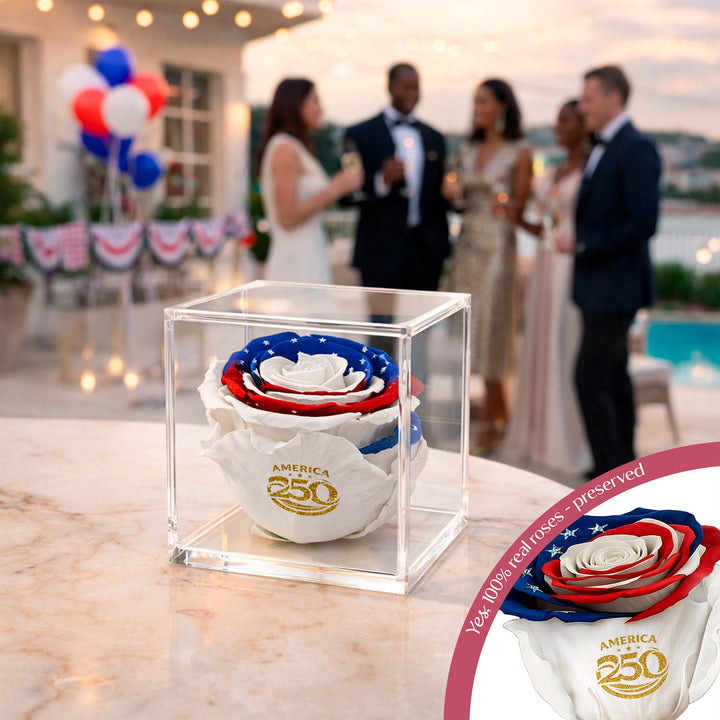 Stemless Patriotic Preserved Rose