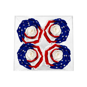 Patriotic Preserved Roses (4 Stems) - alternate product image