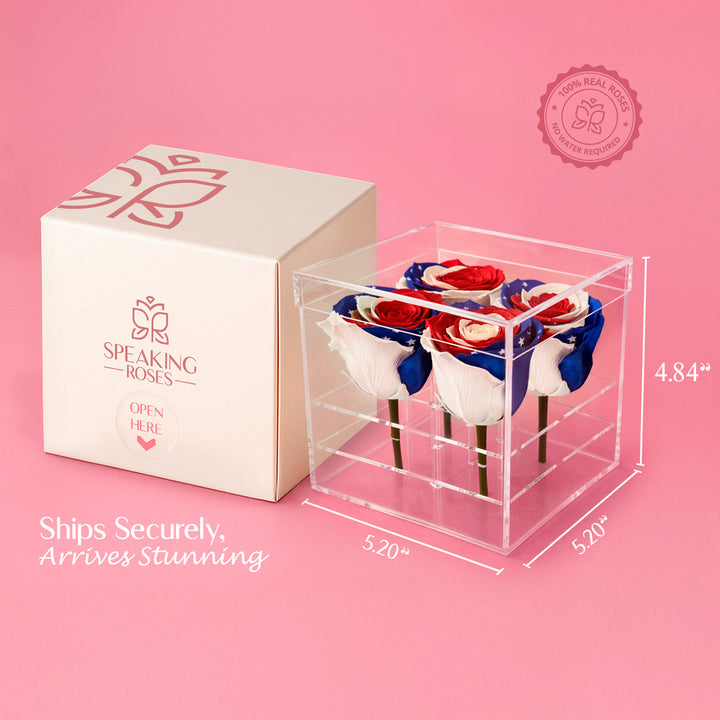 Patriotic Preserved Roses (4 Stems)