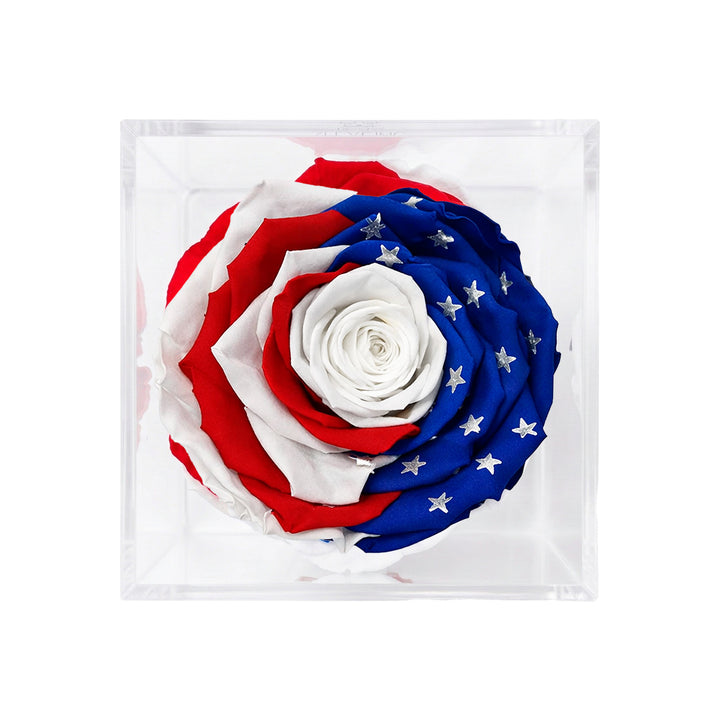 Single Stem Patriotic Preserved Rose