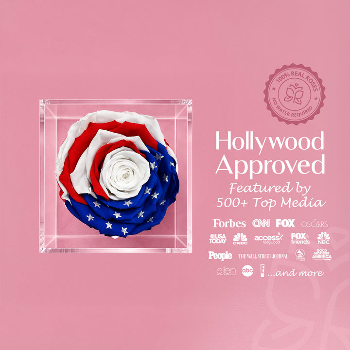 Single Stem Patriotic Preserved Rose