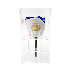 Single Stem Patriotic Preserved Rose - alternate product image
