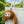 Talking AI Portable Plush - product image 4