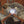 Focused Beam Natural Light Floor Lamp