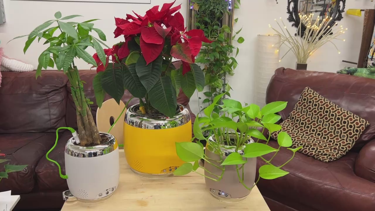 Interactive 4'' Smart Plant Pot with Speaker